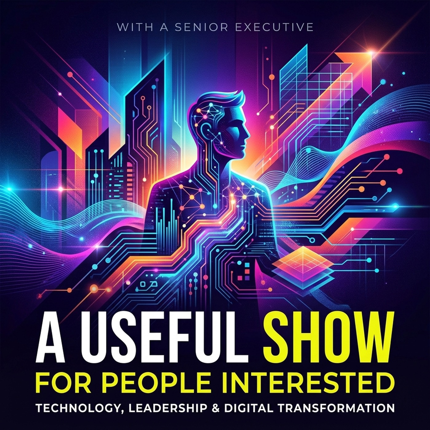 A Useful Show for People Interested cover art